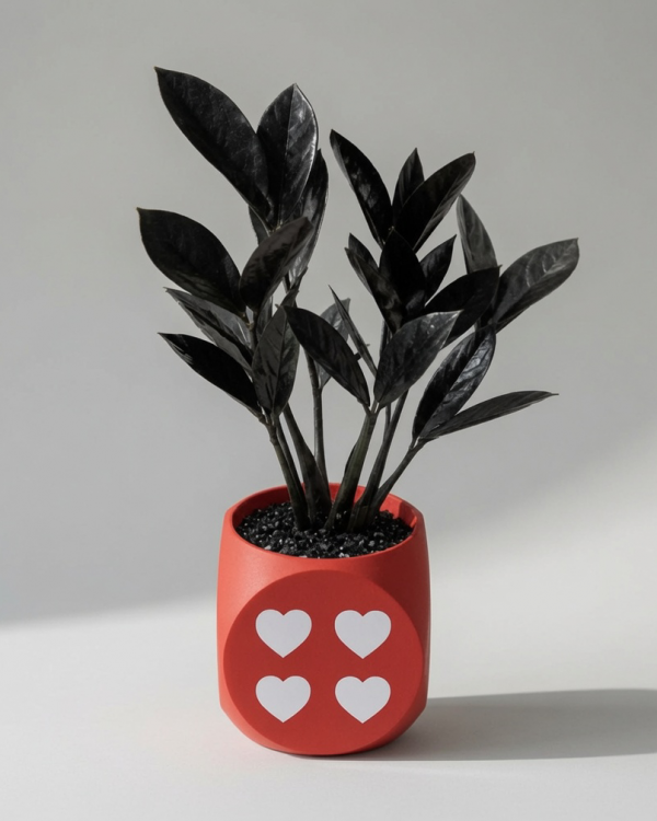 Hear Square Planter